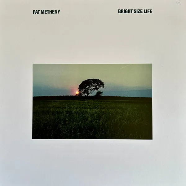 Bright Size Life