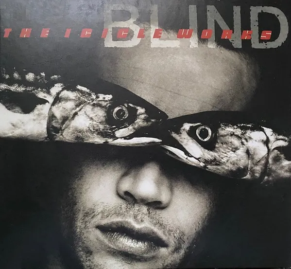Blind