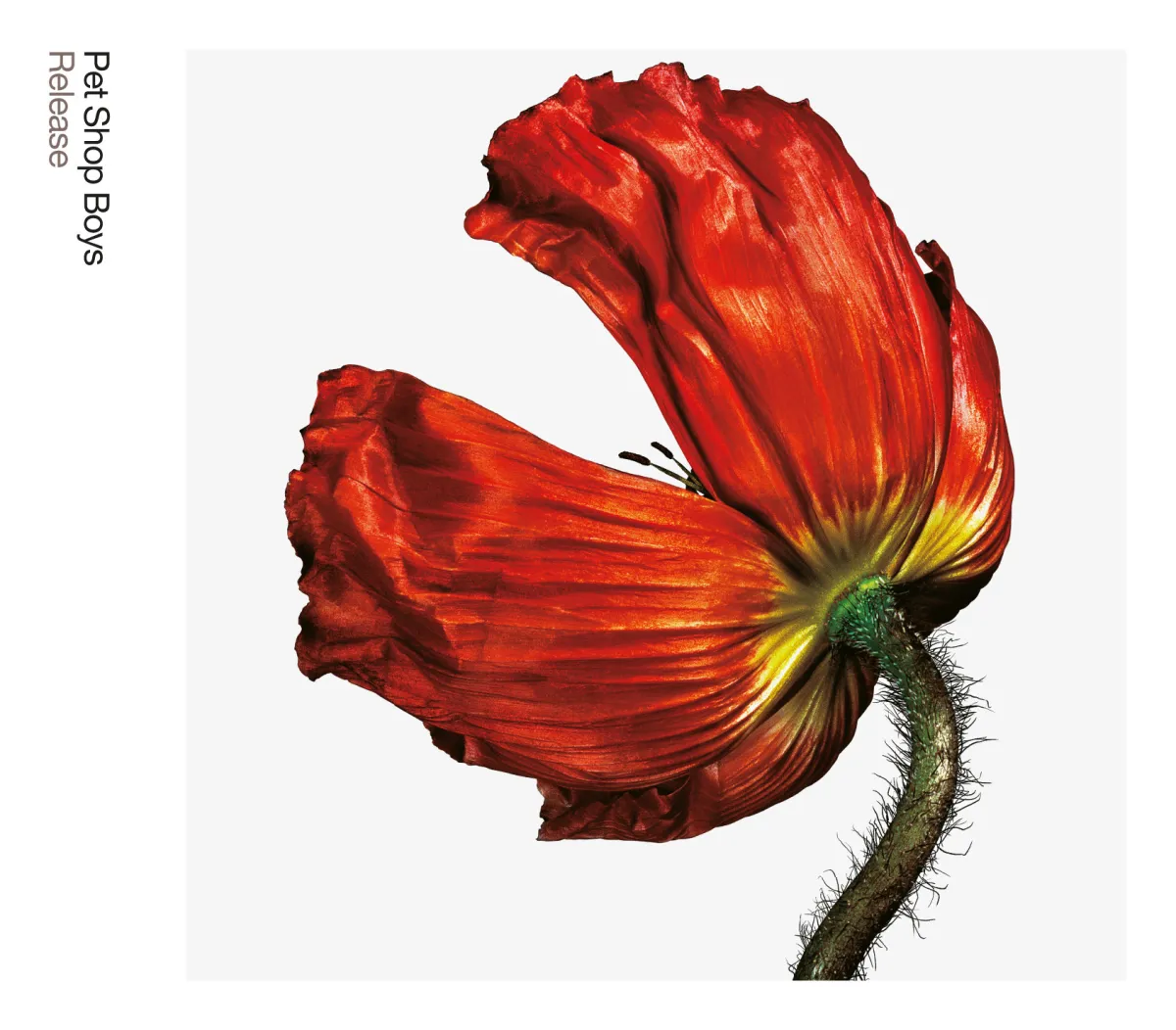 Release / Further Listening 2001–2004