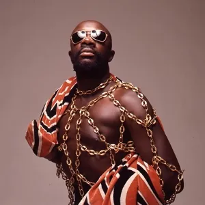 The Best Of Isaac Hayes