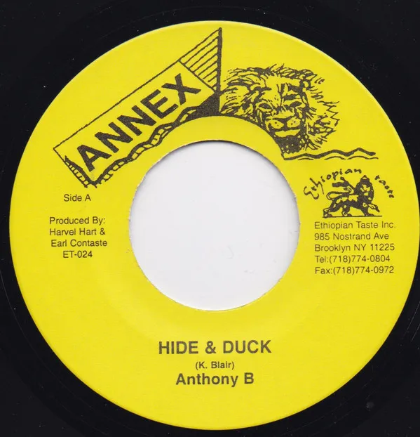 Hide and Duck