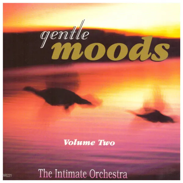The Intimate Orchestra