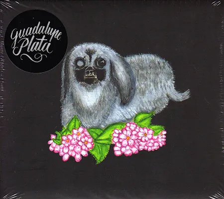 Guadalupe Plata 2017
