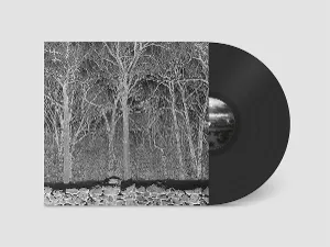 Sunshine And Balance Beams (Limited Edition)
