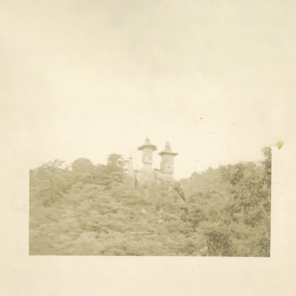 Lost Island