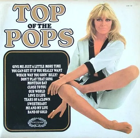 Top Of The Pops Vol.13