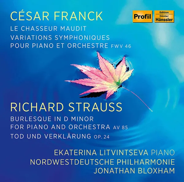 Symphonische Variationen für Klavier & Orchester