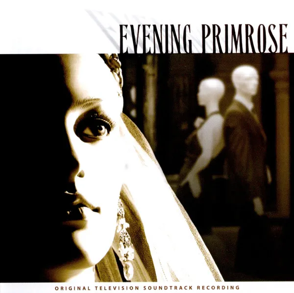 Evening Primrose