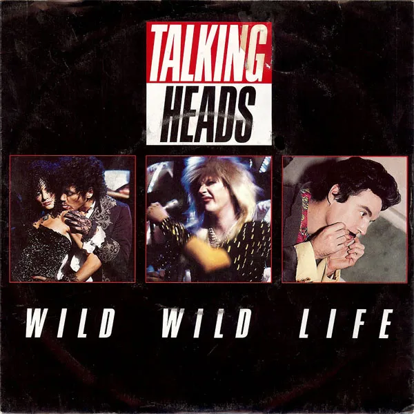 Wild Wild Life