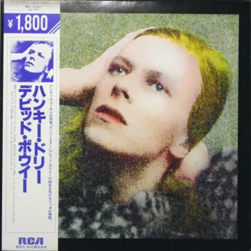 Hunky Dory = ハンキー・ドリー