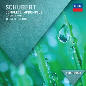 Impromptus D.899 & 935