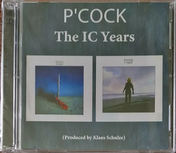 The IC Years