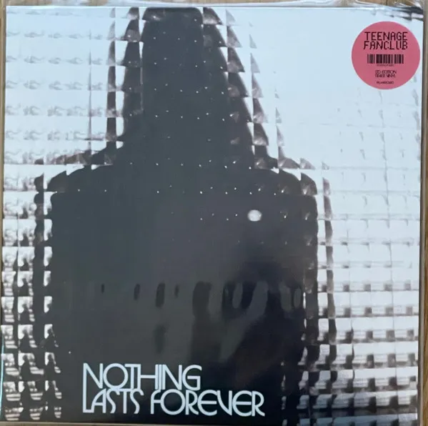 Nothing Lasts Forever (Limited Edition) (Silver Vinyl) (mit handsigniertem Artprint)
