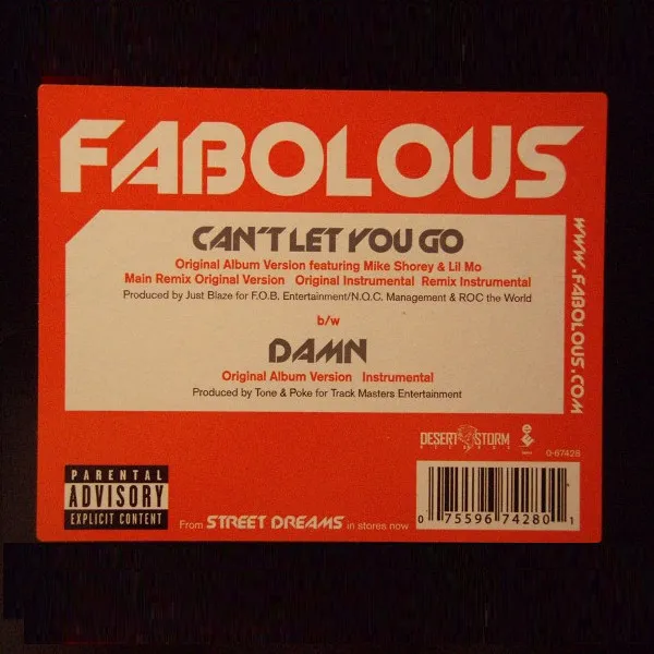 Can't Let You Go / Damn
