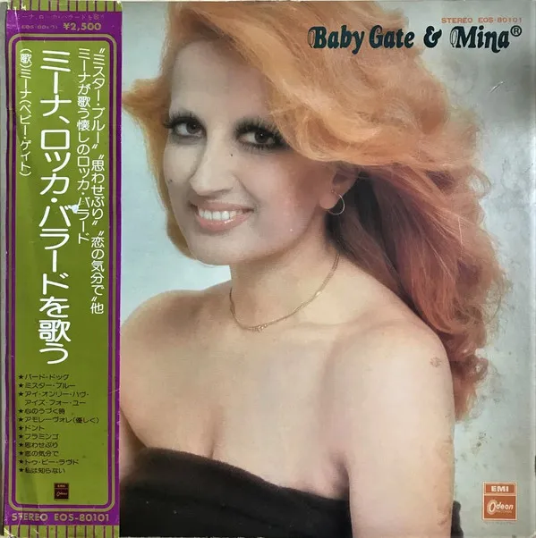 Baby Gate