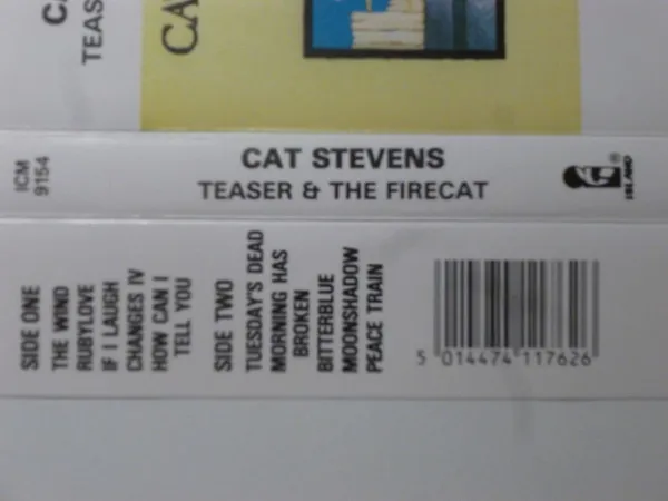 Teaser & The Firecat