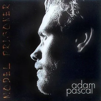 Model Prisoner