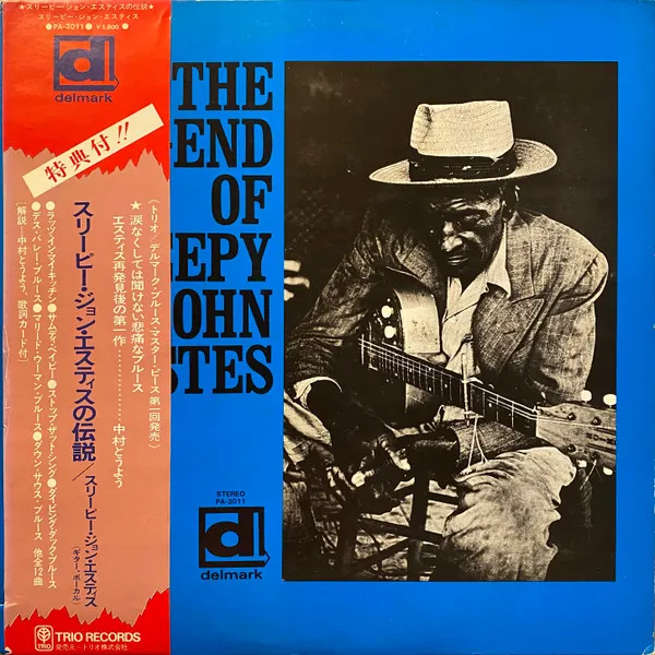The Legend Of Sleepy John Estes