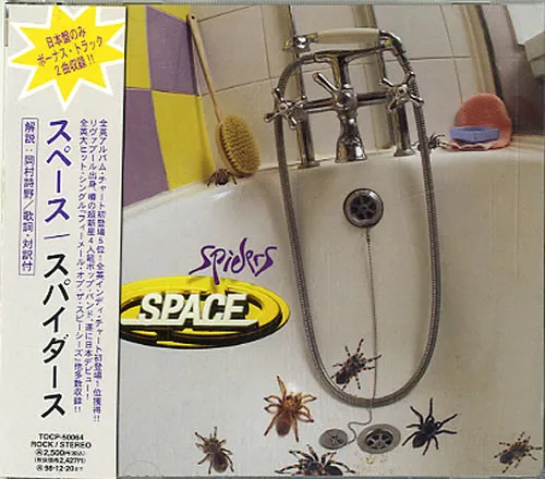 Spiders