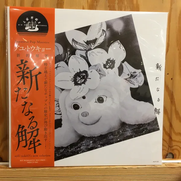 新たなる解 (新的解答)