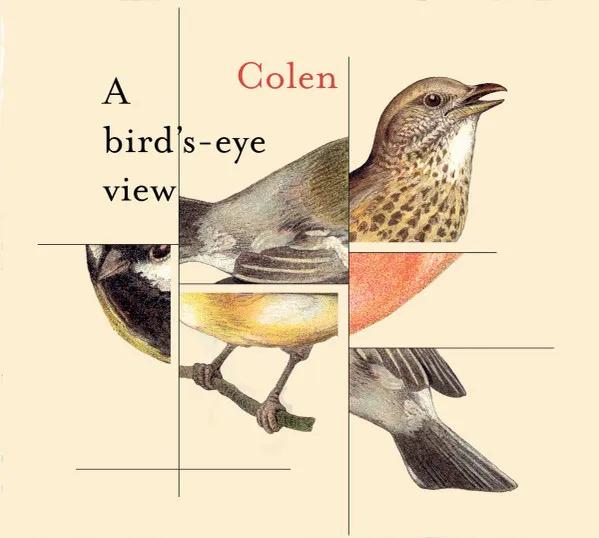 A Bird's-eye View