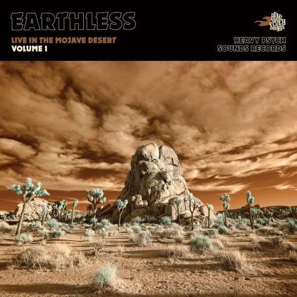 Live In the Mojave Desert