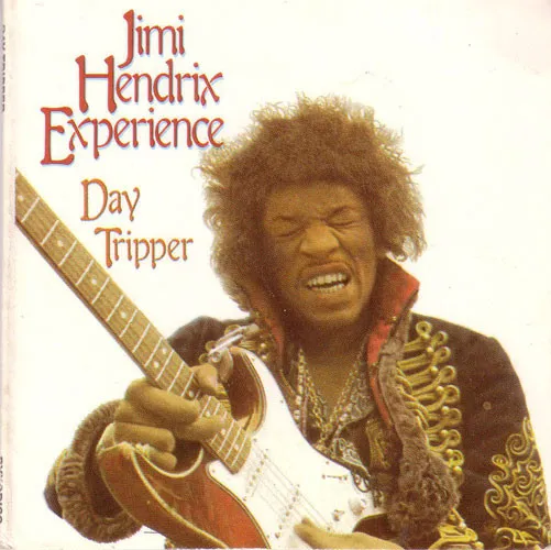 Day Tripper