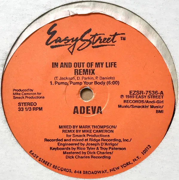 In And Out Of My Life (Remix)