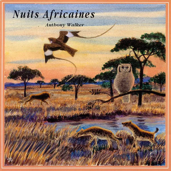Nuits Africaines / African Sounds At Dusk