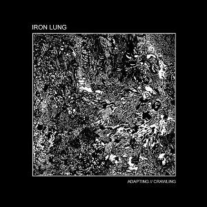 Adapting - Crawling