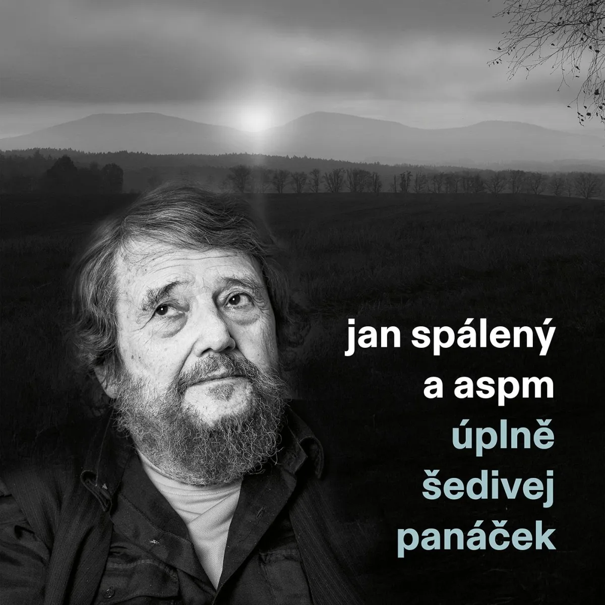 Uplne Sedivej Panacek