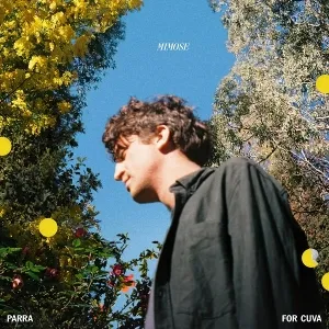 Mimose (Green & Yellow Transparent Splatter Vinyl)