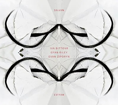 Nayive (Iva Bittová, Gyan Riley, Evan Ziporin)