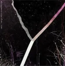 Y