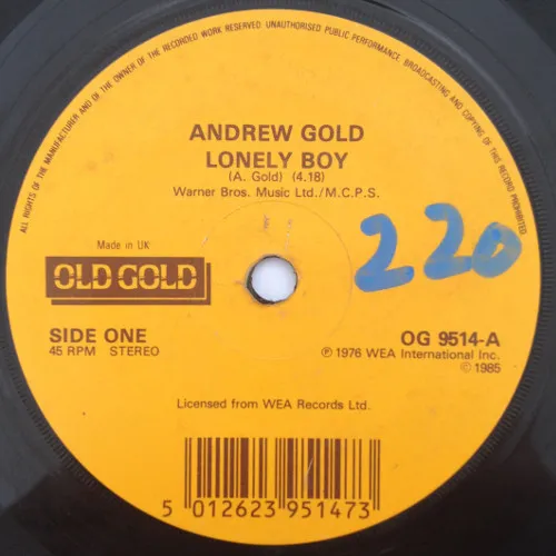 Lonely Boy / Never Let Her Slip Away