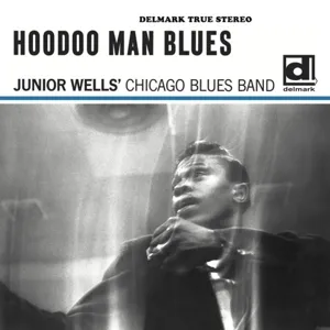 Hoodoo Man Blues (180g) (45 RPM)