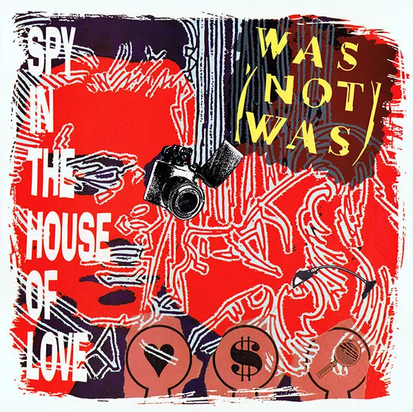 Spy In The House Of Love