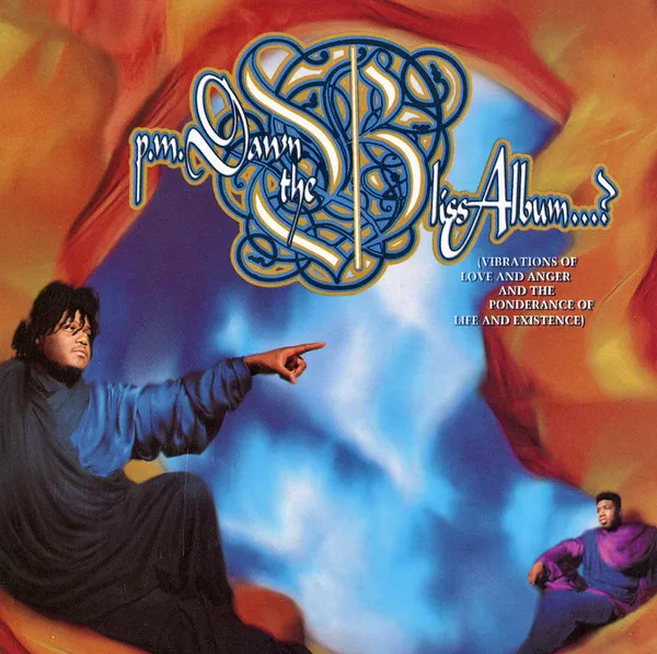 The Bliss Album (Vibrations Of Love And Anger And The Ponderance Of Life And Existence)