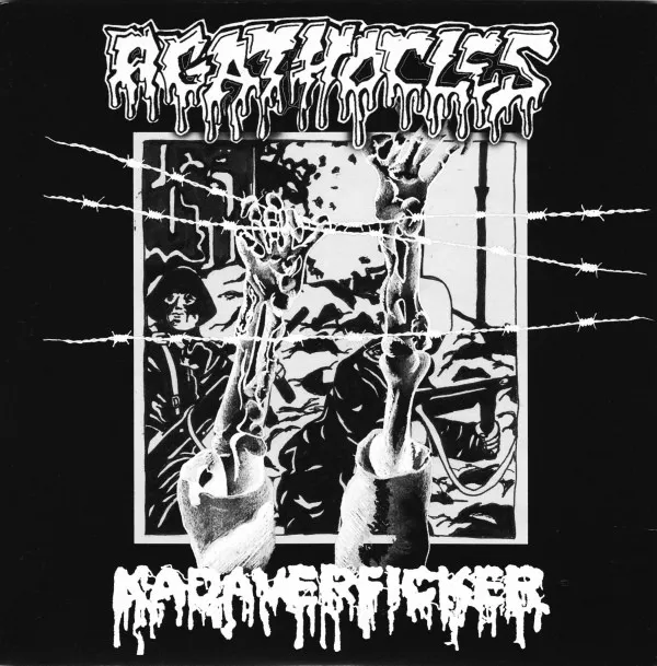Agathocles / Kadaverficker