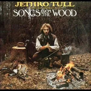 Songs From the Wood (40th)