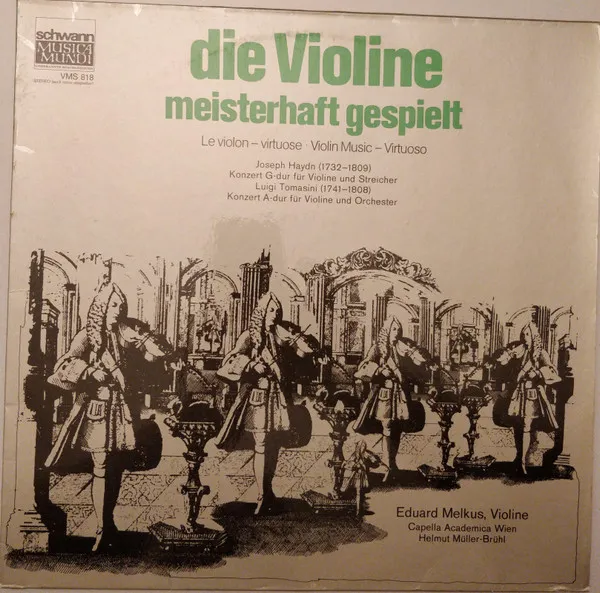 Die Violine Meisterhaft Gespielt