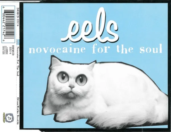 Novocaine For The Soul