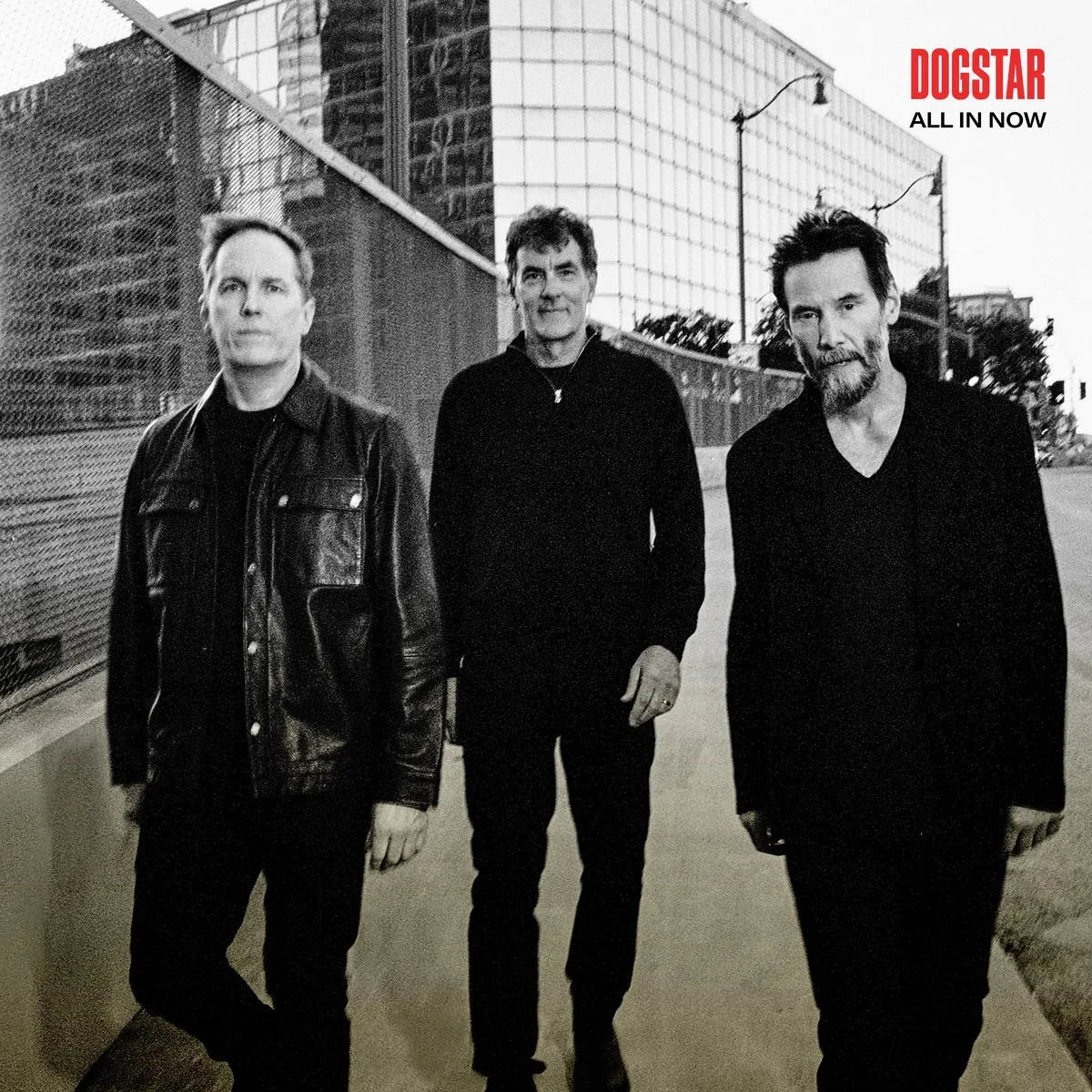 Dogstar:  All In Now (140g)