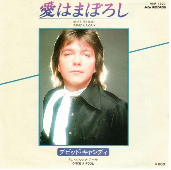 Hurt So Bad = 愛はまぼろし
