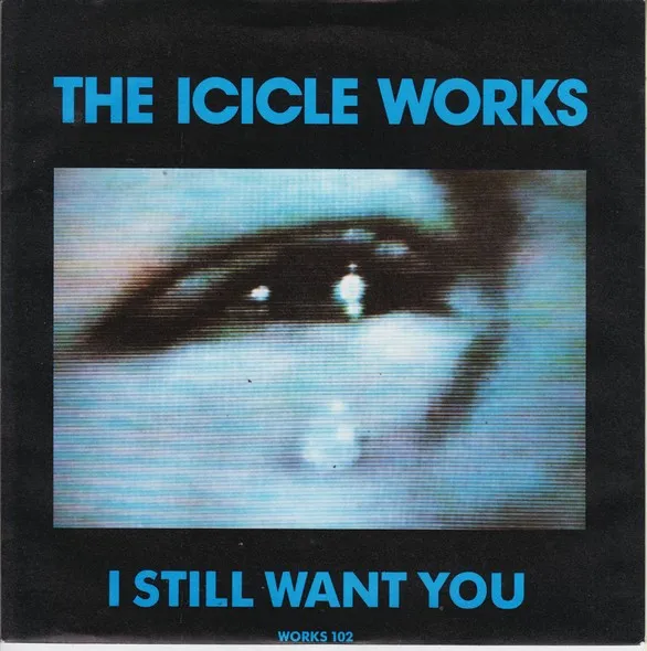 I Still Want You