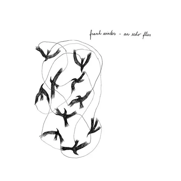An Echo Flies