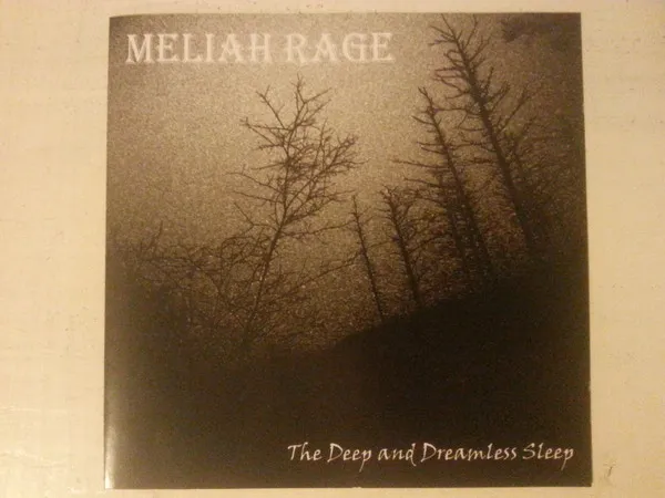 The Deep And Dreamless Sleep