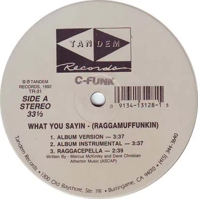 What You Sayin (Raggamuffunkin)