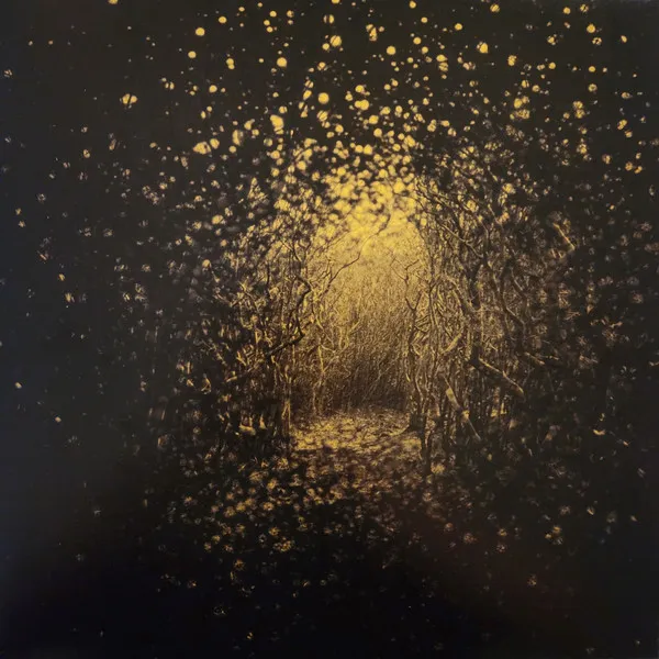 Burst Apart