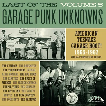 Last Of The Garage Punk Unknowns Vol. 5: American Teenage Garage Hoot!